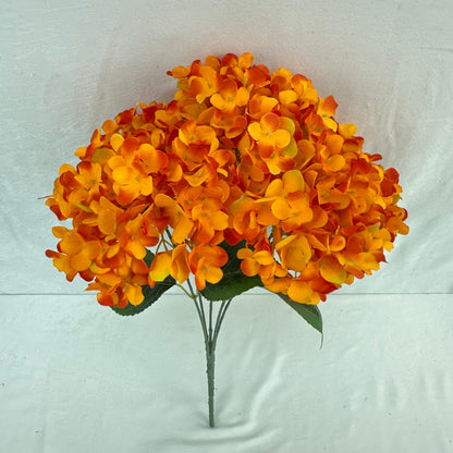 Orange Silk French Hydrangea Bush - 5 Heads