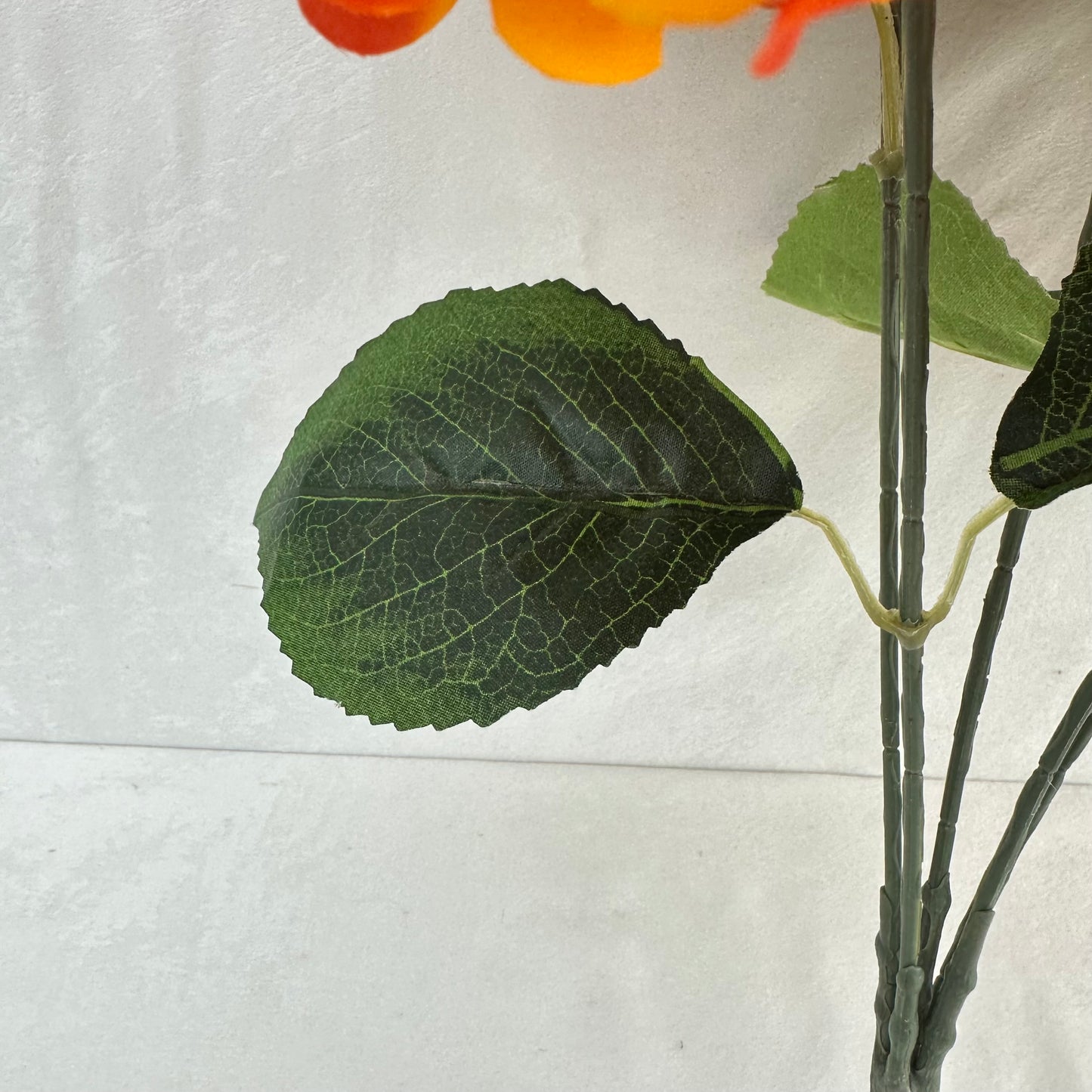 Orange Silk French Hydrangea Bush - 5 Heads