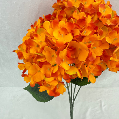 Orange Silk French Hydrangea Bush - 5 Heads