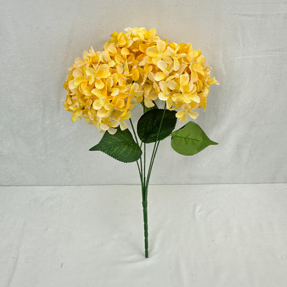 Yellow Silk GJ Hydrangea Bush - 5 Heads