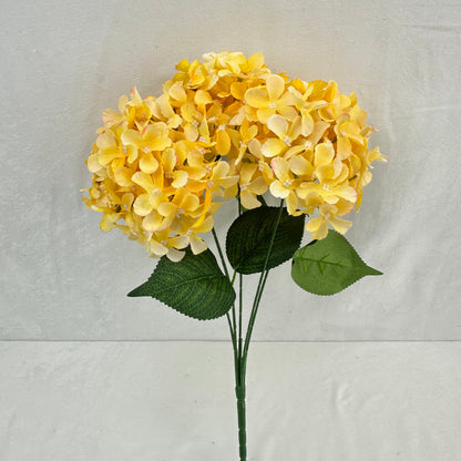 Yellow Silk GJ Hydrangea Bush - 5 Heads