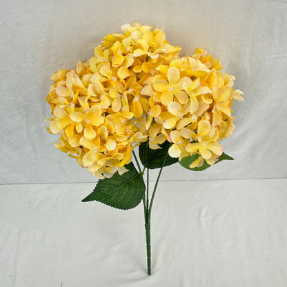 Yellow Silk GJ Hydrangea Bush - 5 Heads