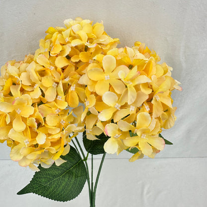 Yellow Silk GJ Hydrangea Bush - 5 Heads