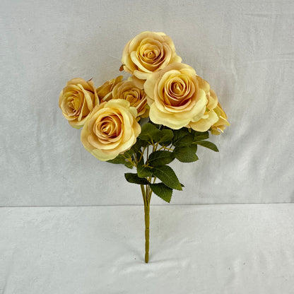 Yellow Silk Bulgarian Rose Bush - 9 Heads