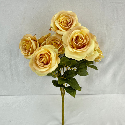 Yellow Silk Bulgarian Rose Bush - 9 Heads