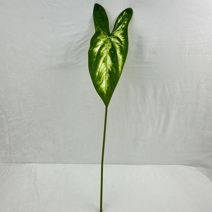Green Silk Taro Heart Leaf
