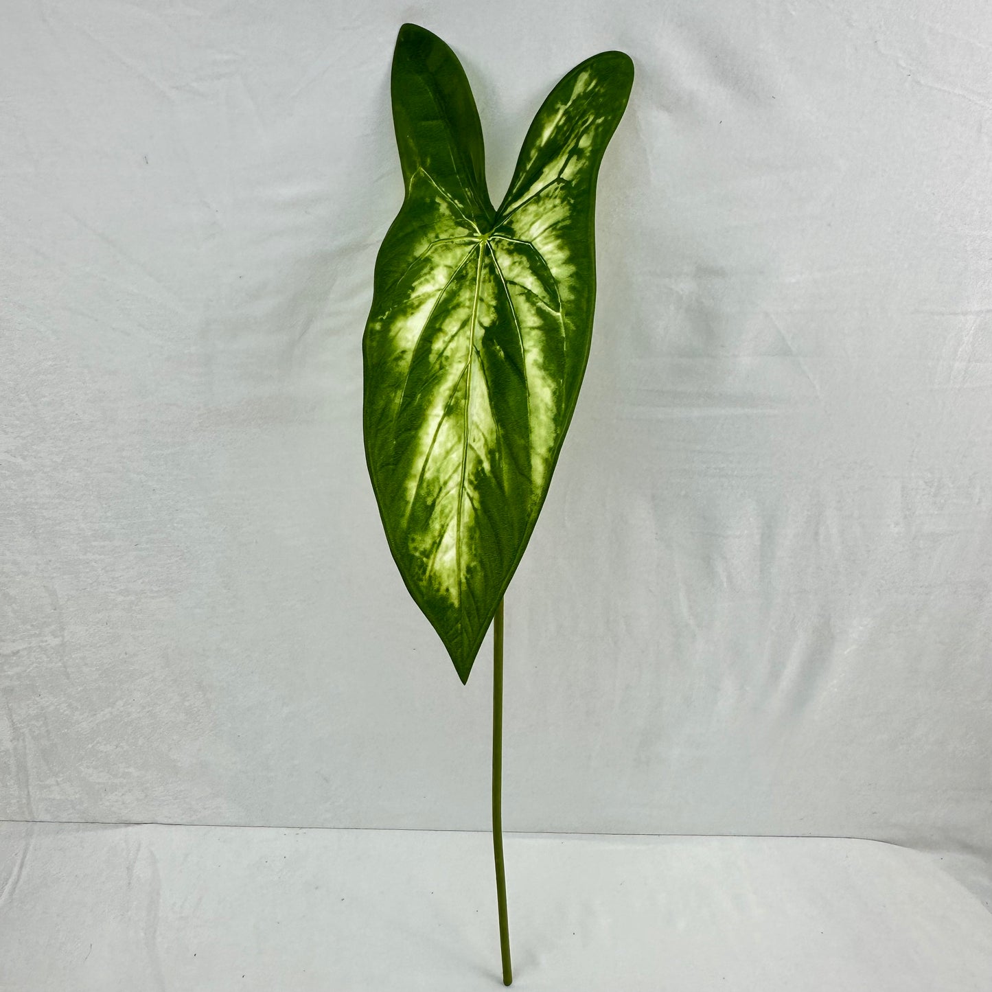Green Silk Taro Heart Leaf