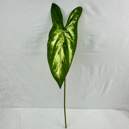 Green Silk Taro Heart Leaf
