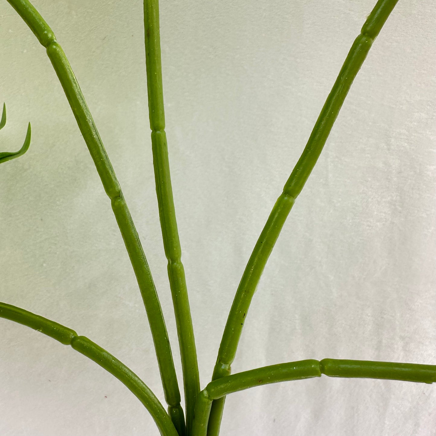 Green Silk Fishtail Palm Leaf 5 Branch