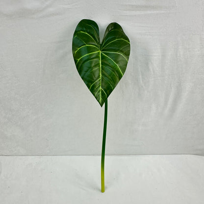 Green Silk Taro Heart Leaf