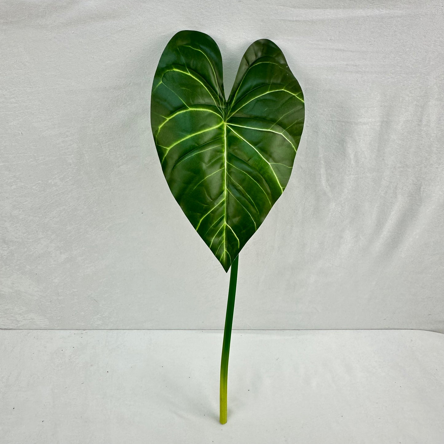 Green Silk Taro Heart Leaf
