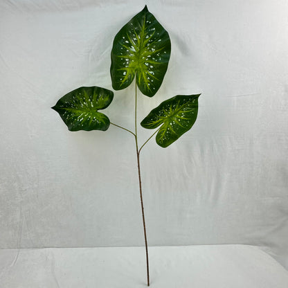 Green Silk Caladium 3 Leafs