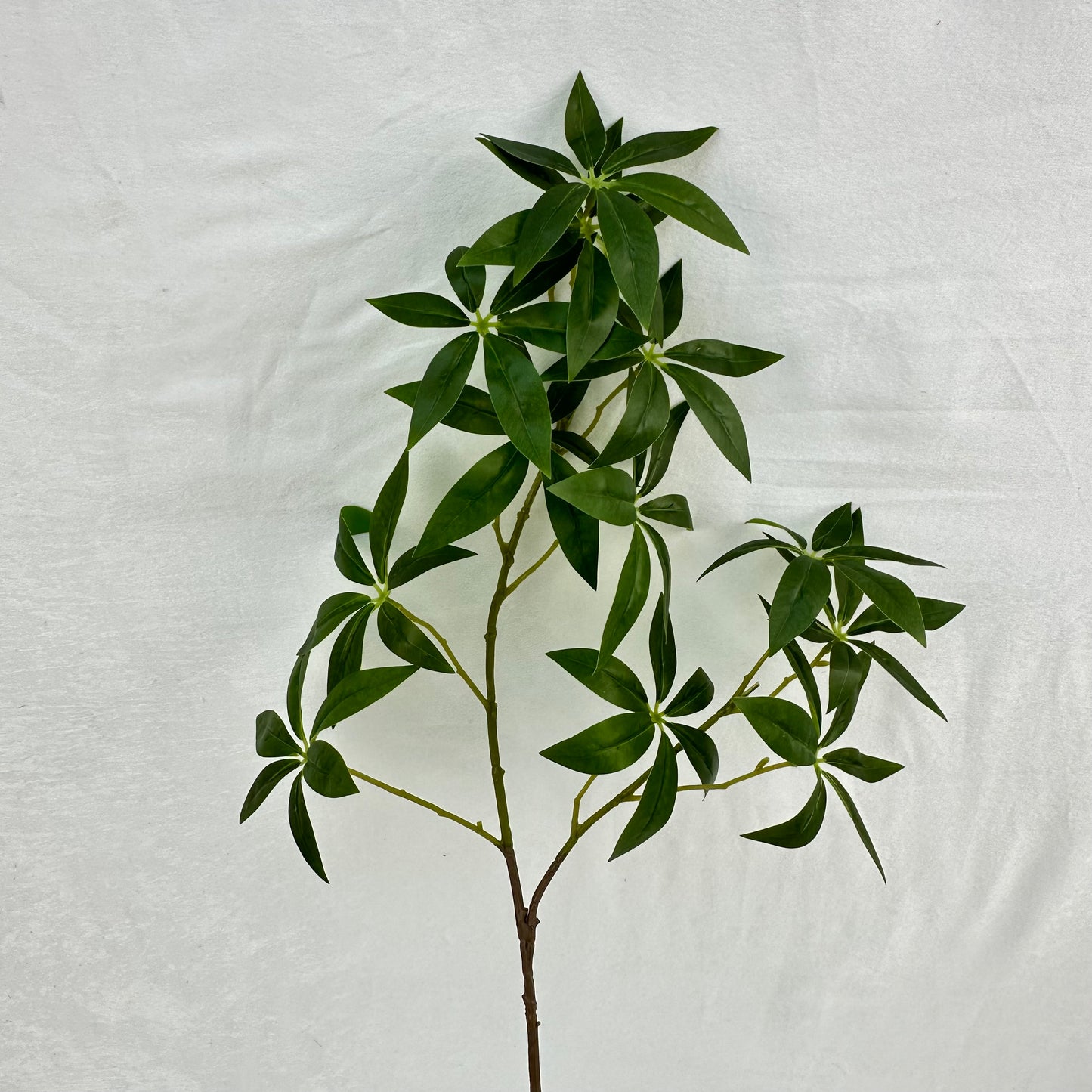 Green Silk Fortune Ruscus Leaf Branch