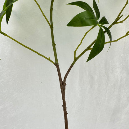 Green Silk Fortune Ruscus Leaf Branch