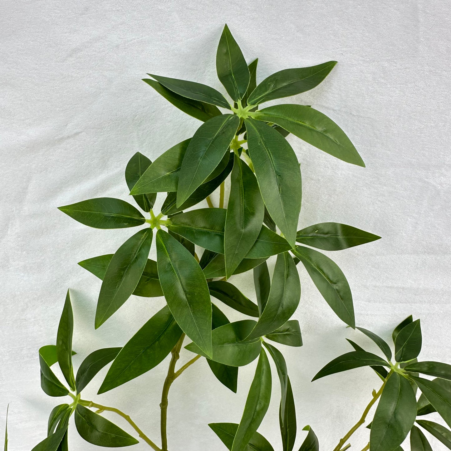 Green Silk Fortune Ruscus Leaf Branch