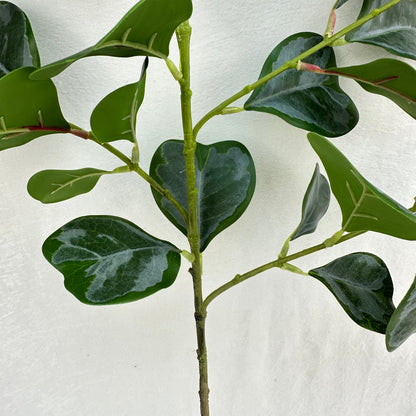Green Silk Heart Shaped Ficus Leaf Branch