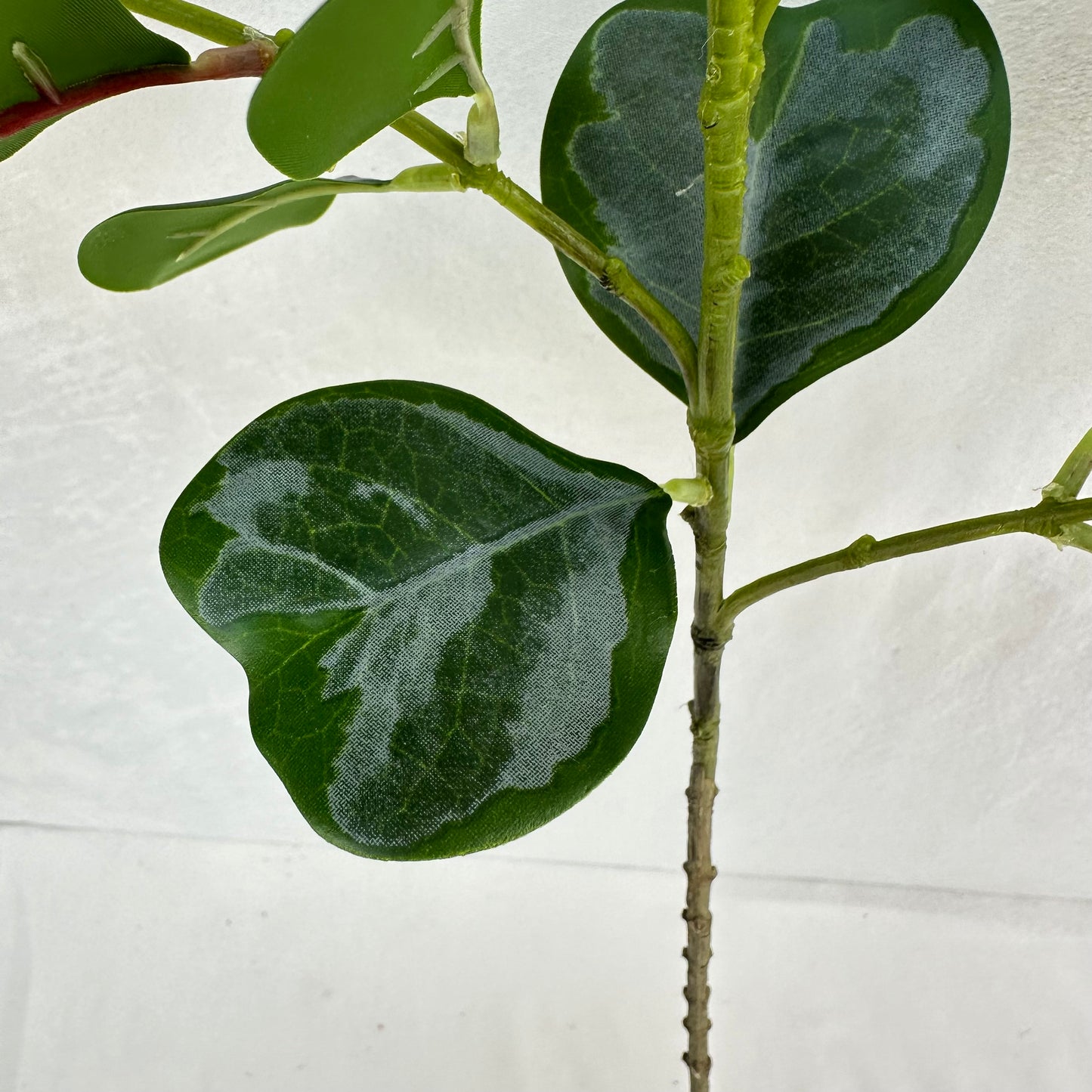 Green Silk Heart Shaped Ficus Leaf Branch
