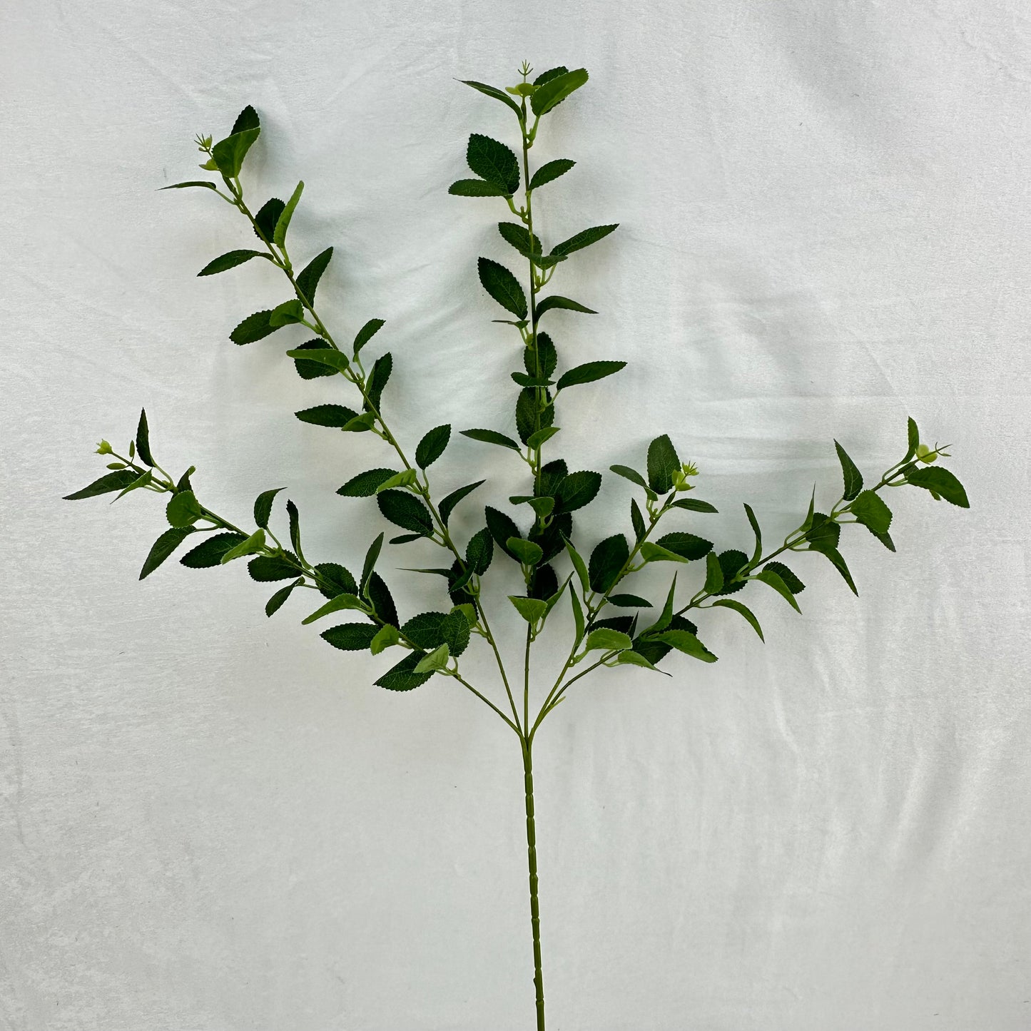 Green Silk Osmanthus Leaf 5 Branch