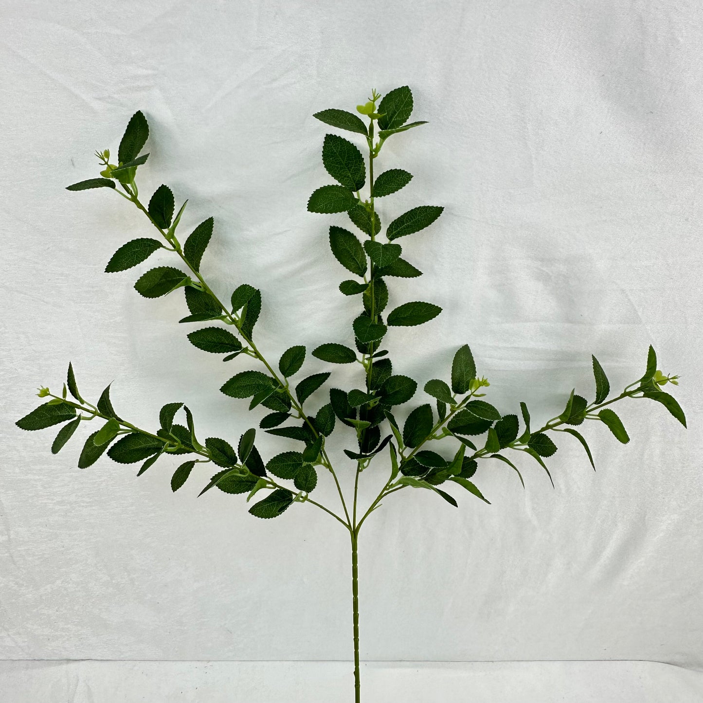 Green Silk Osmanthus Leaf 5 Branch