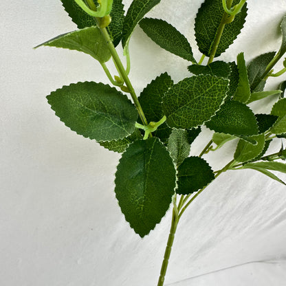 Green Silk Osmanthus Leaf 5 Branch