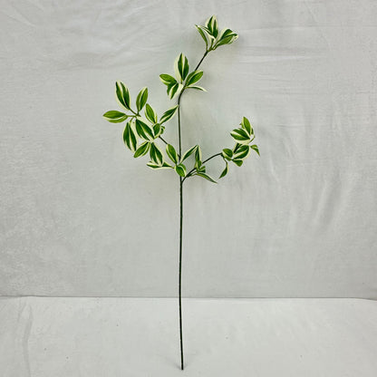 Green Silk Spider Plant 3 Branch