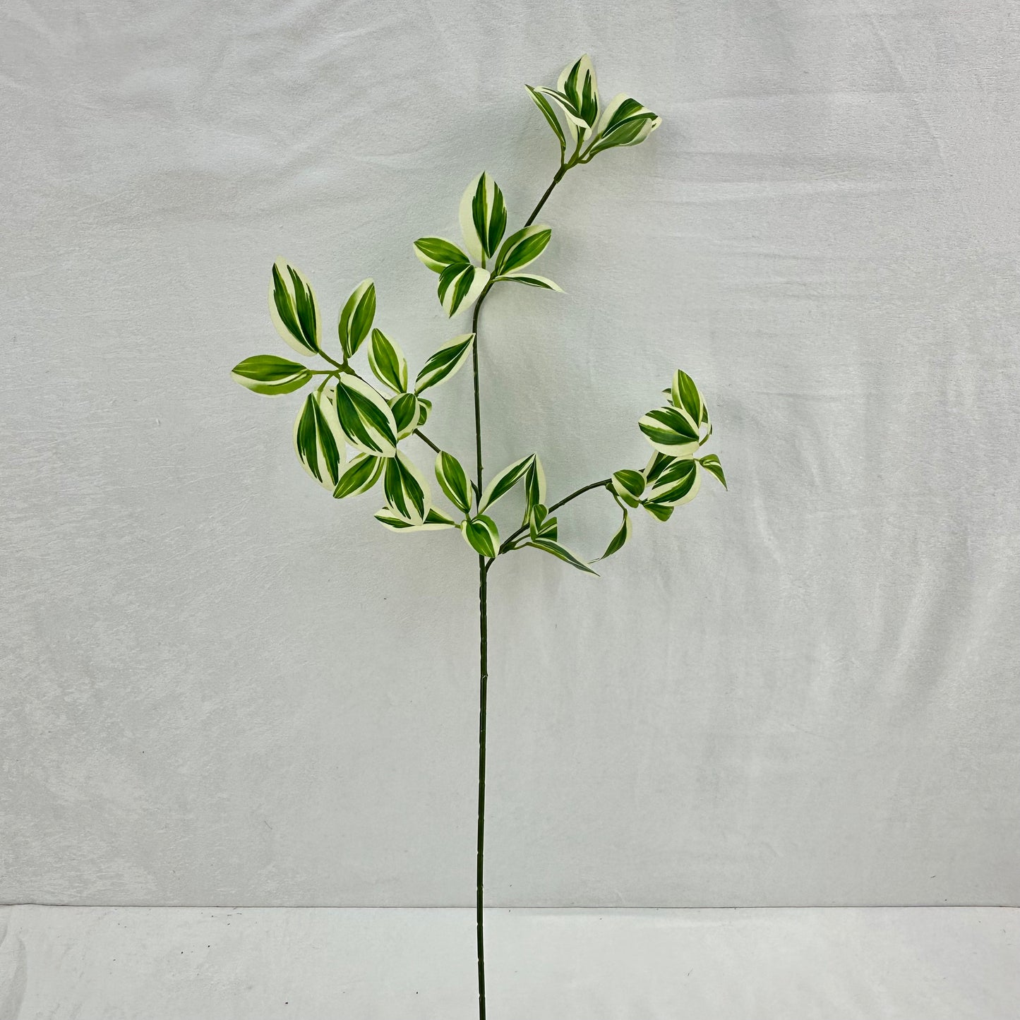 Green Silk Spider Plant 3 Branch