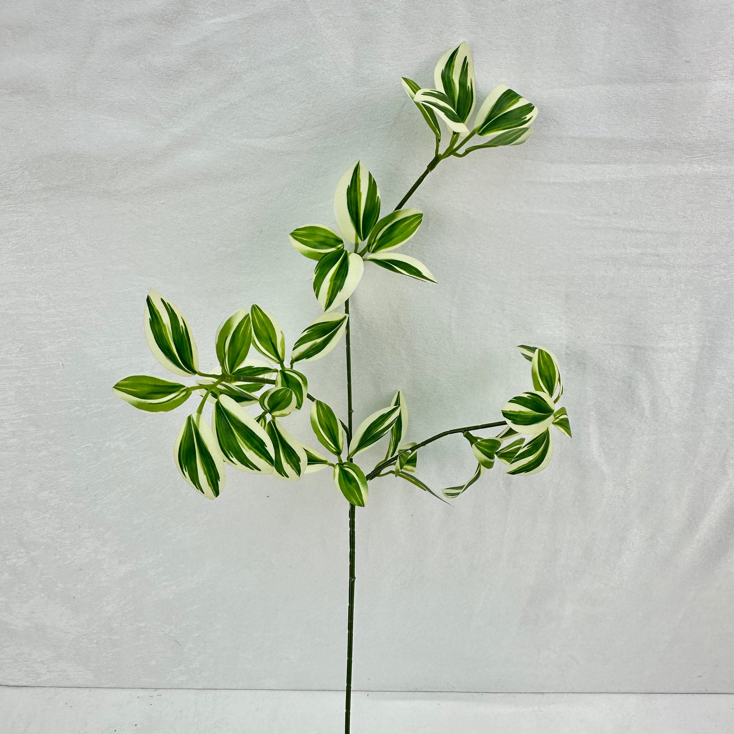 Green Silk Spider Plant 3 Branch