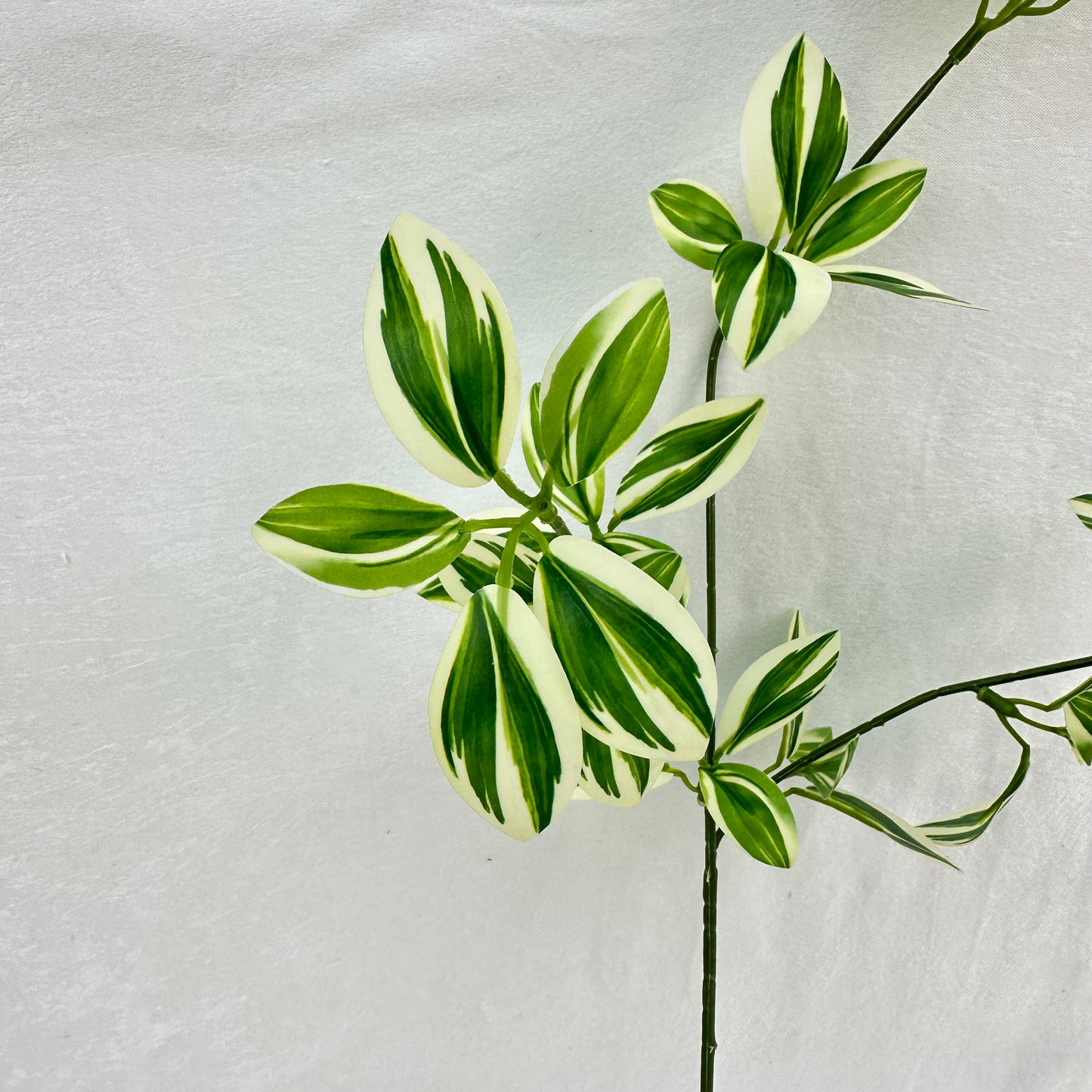 Green Silk Spider Plant 3 Branch