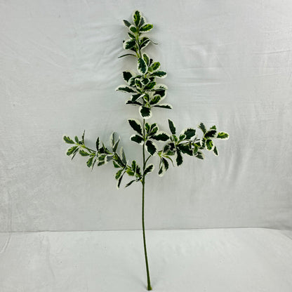 Green Silk Fortune Polyscias Branch