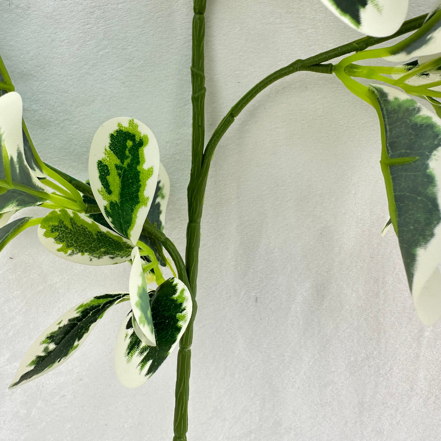 Green Silk Fortune Polyscias Branch