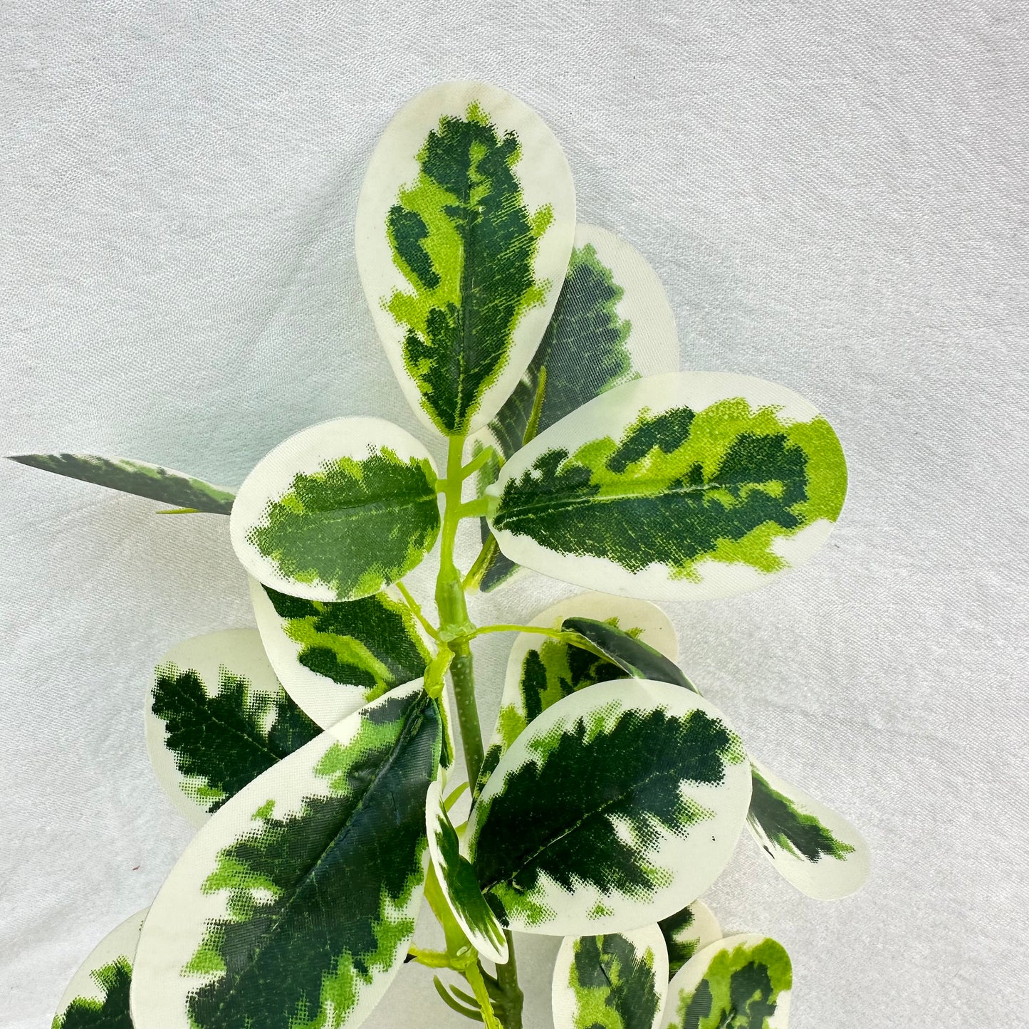 Green Silk Fortune Polyscias Branch