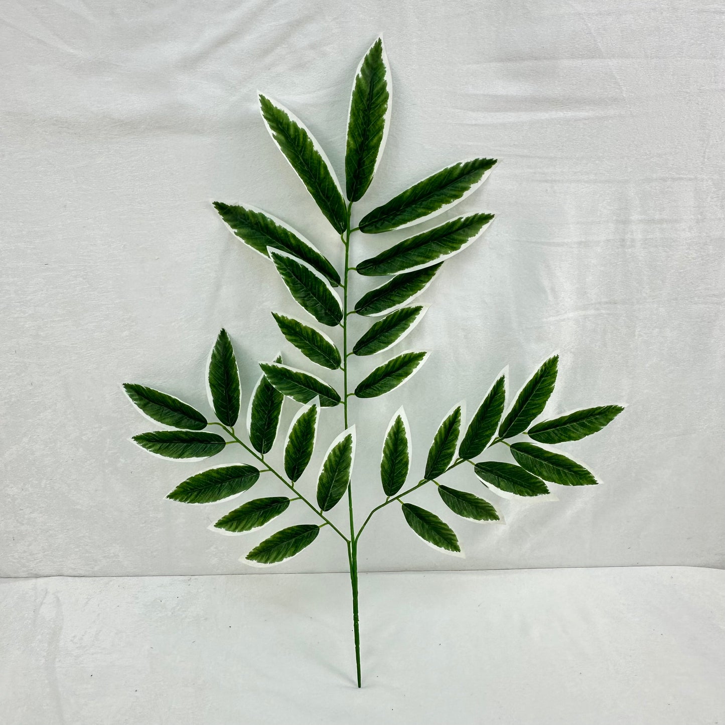 Green Silk Lemon Tree Leaf White Edge 12 Pack