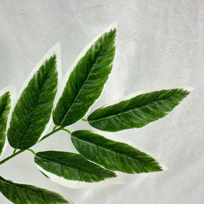 Green Silk Lemon Tree Leaf White Edge 12 Pack