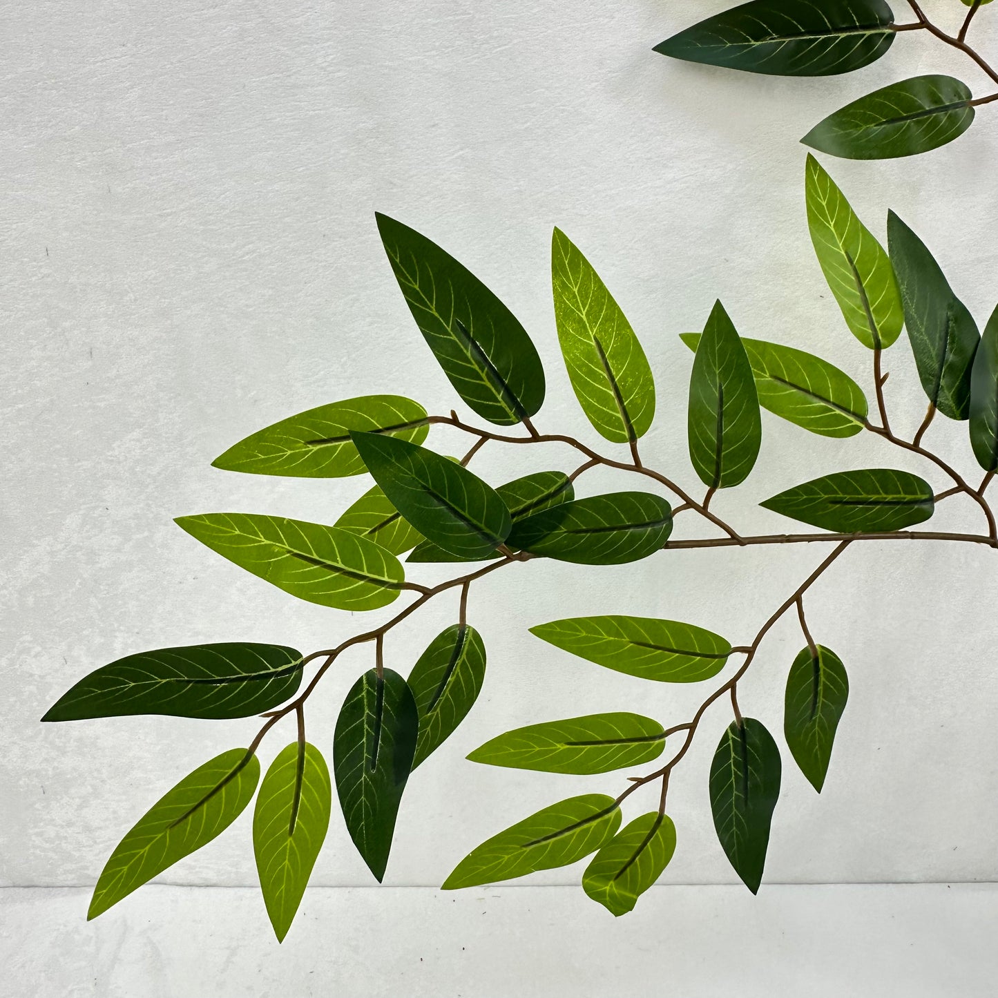 Green Silk Italian Ruscus Leaf 12 Pack