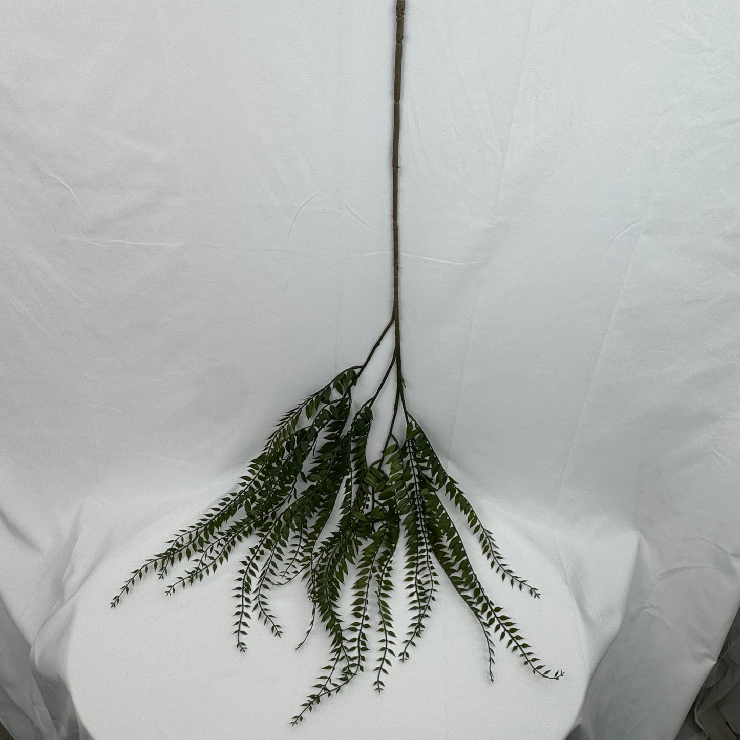 Green Hanging Fern Vine Branch