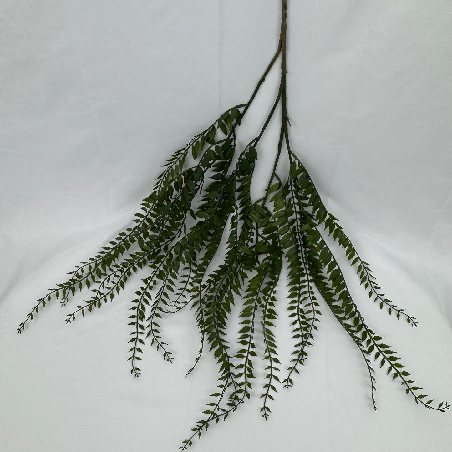 Green Hanging Fern Vine Branch