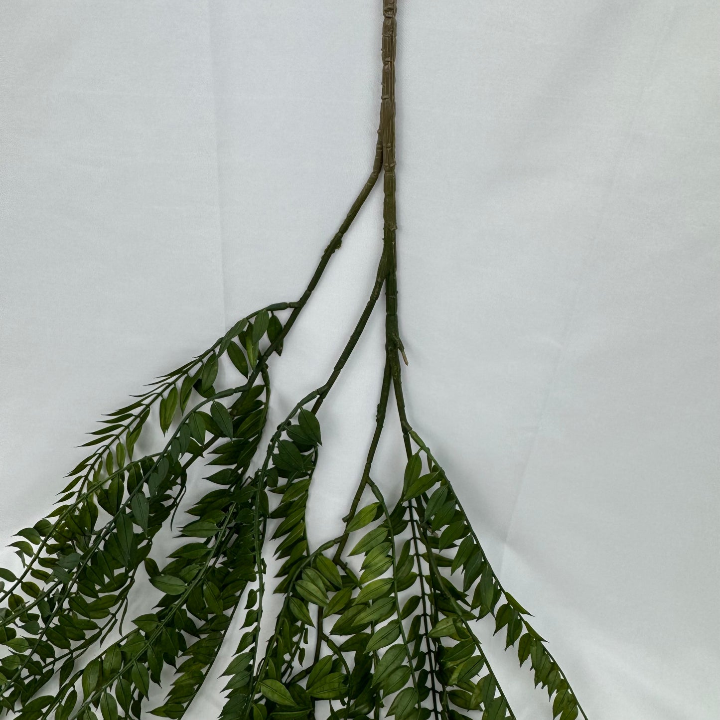 Green Hanging Fern Vine Branch