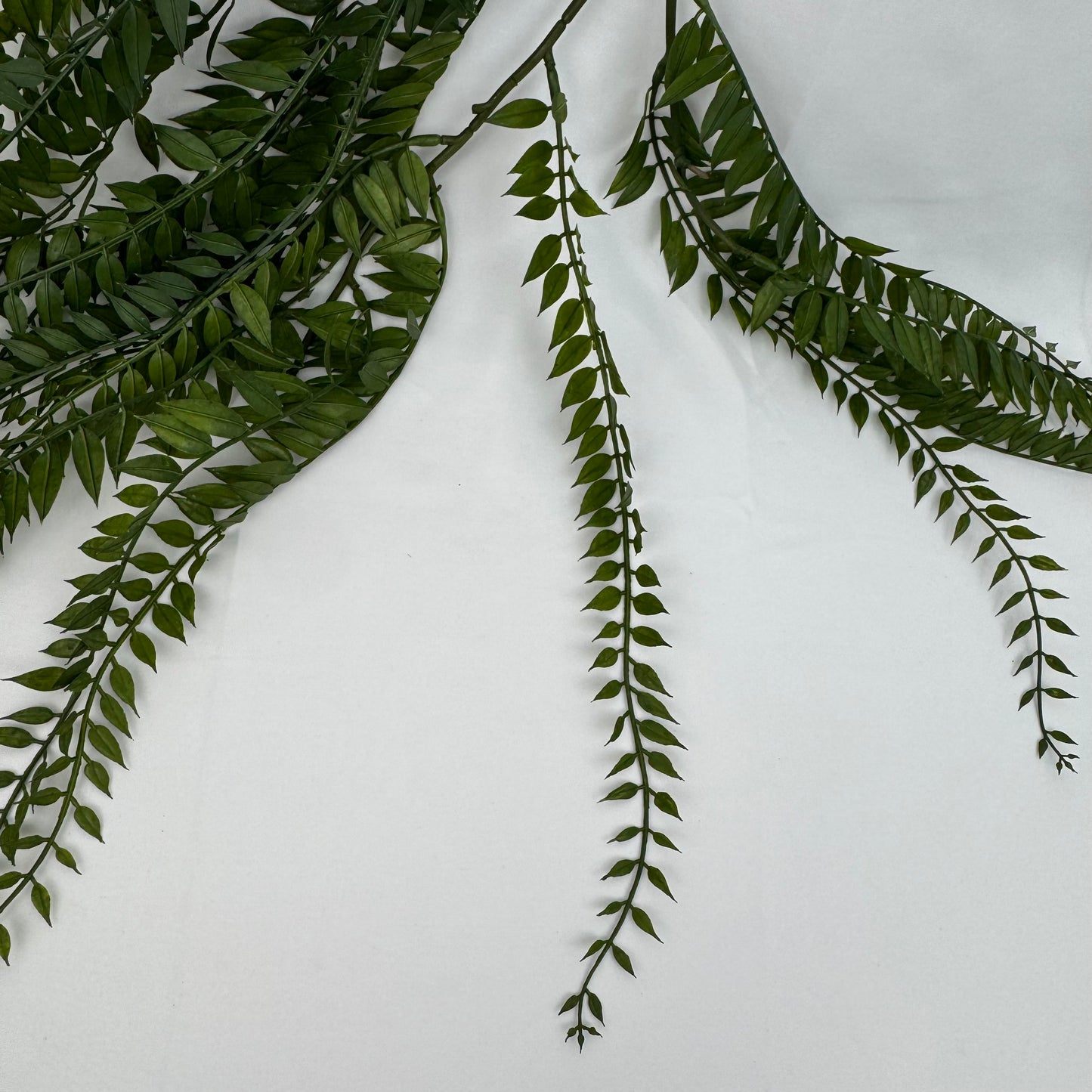 Green Hanging Fern Vine Branch