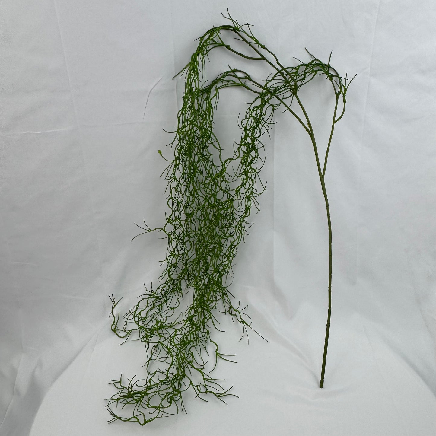 Green Seaweed