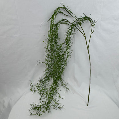 Green Seaweed