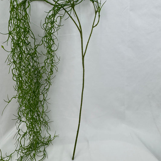 Green Seaweed