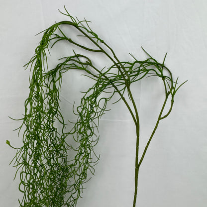 Green Seaweed