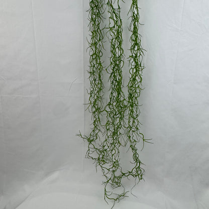 Green Seaweed