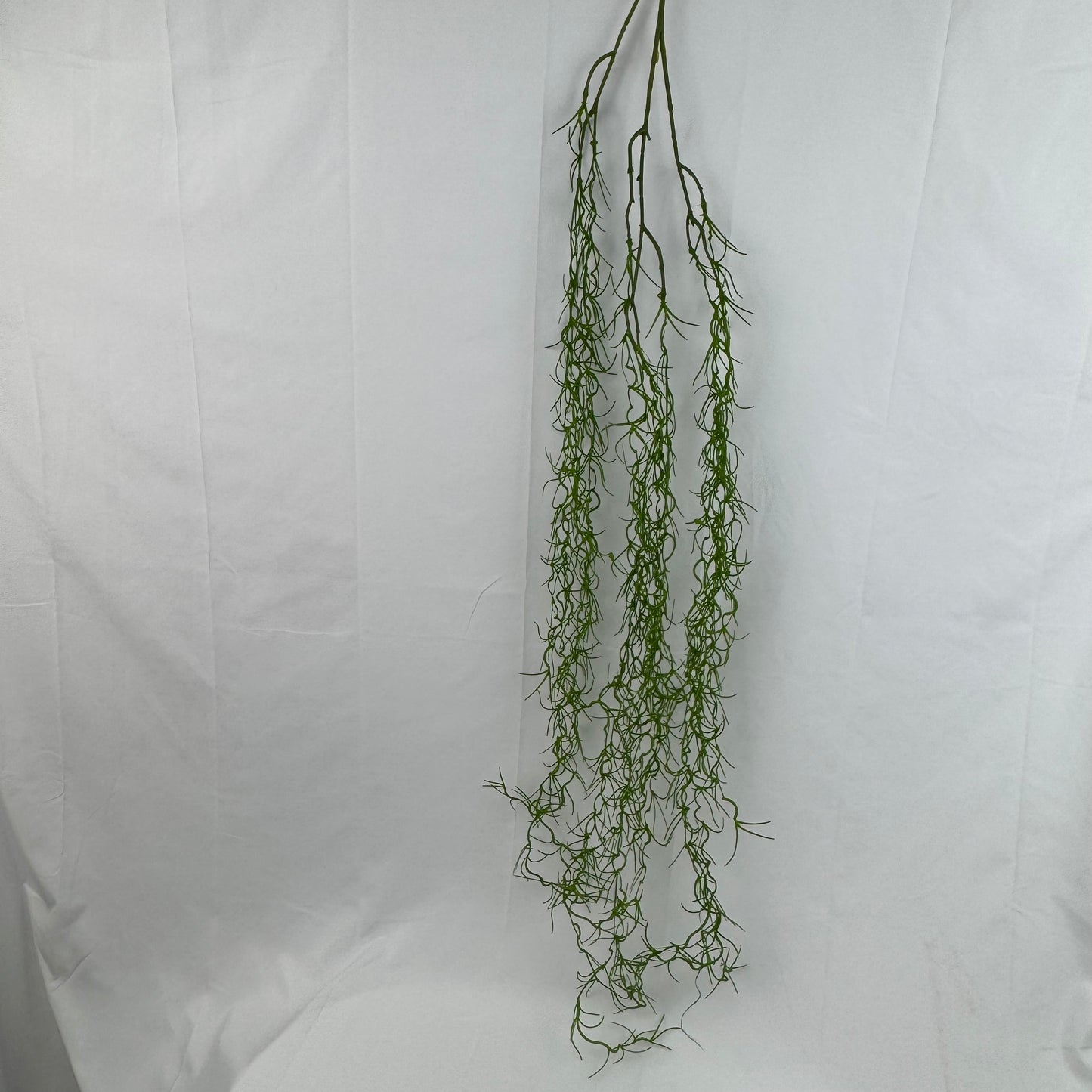 Green Seaweed