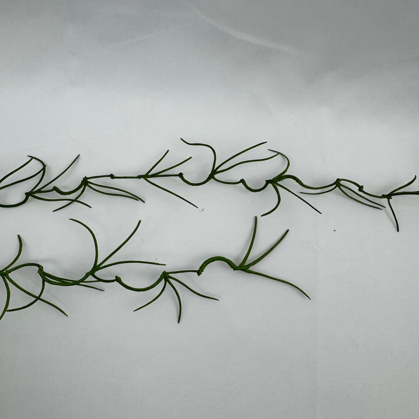 Green Hanging Seaweed Branch