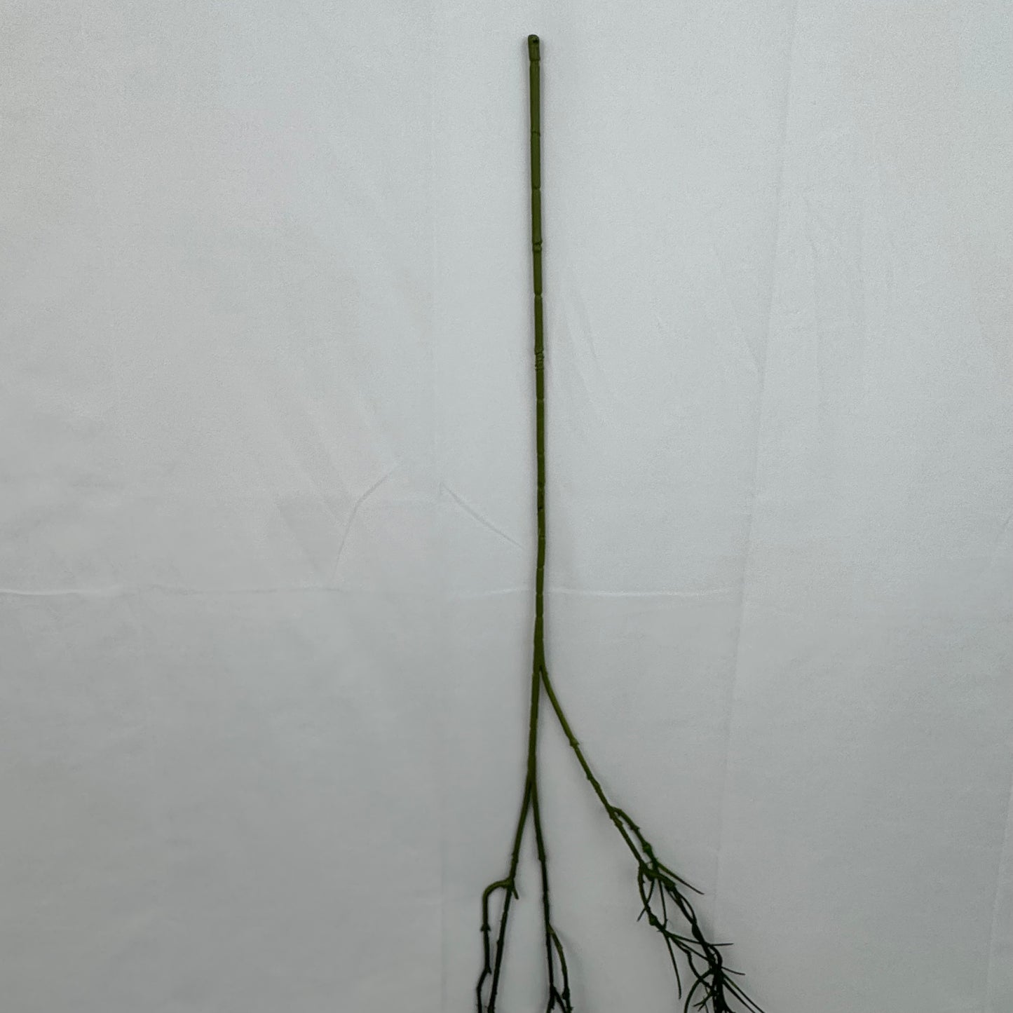 Green Hanging Seaweed Branch