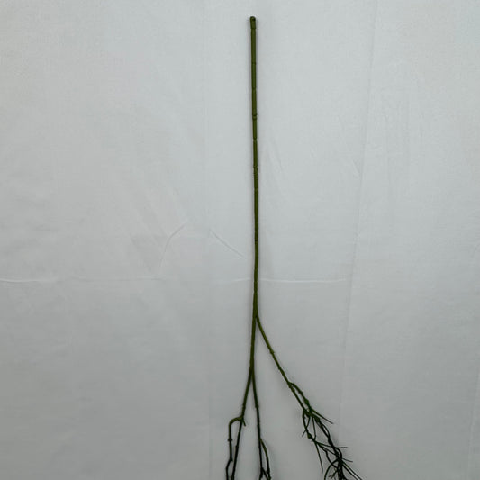 Green Hanging Seaweed Branch