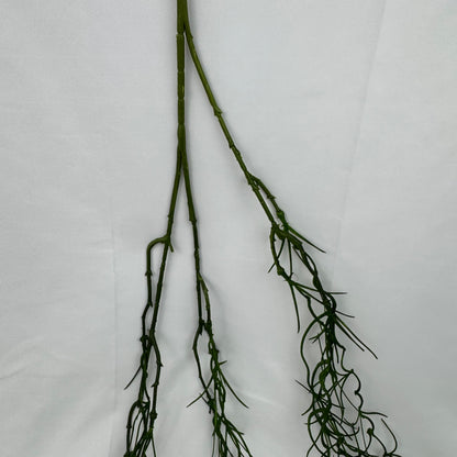 Green Hanging Seaweed Branch