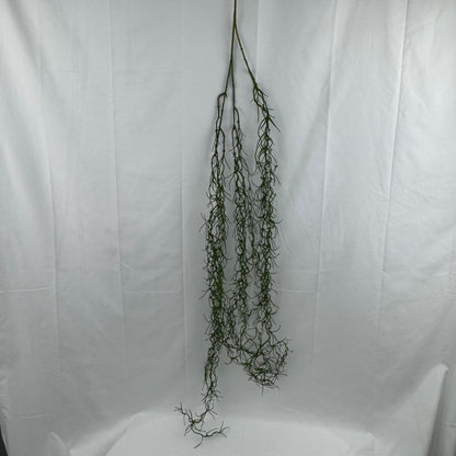 Green Hanging Seaweed Branch