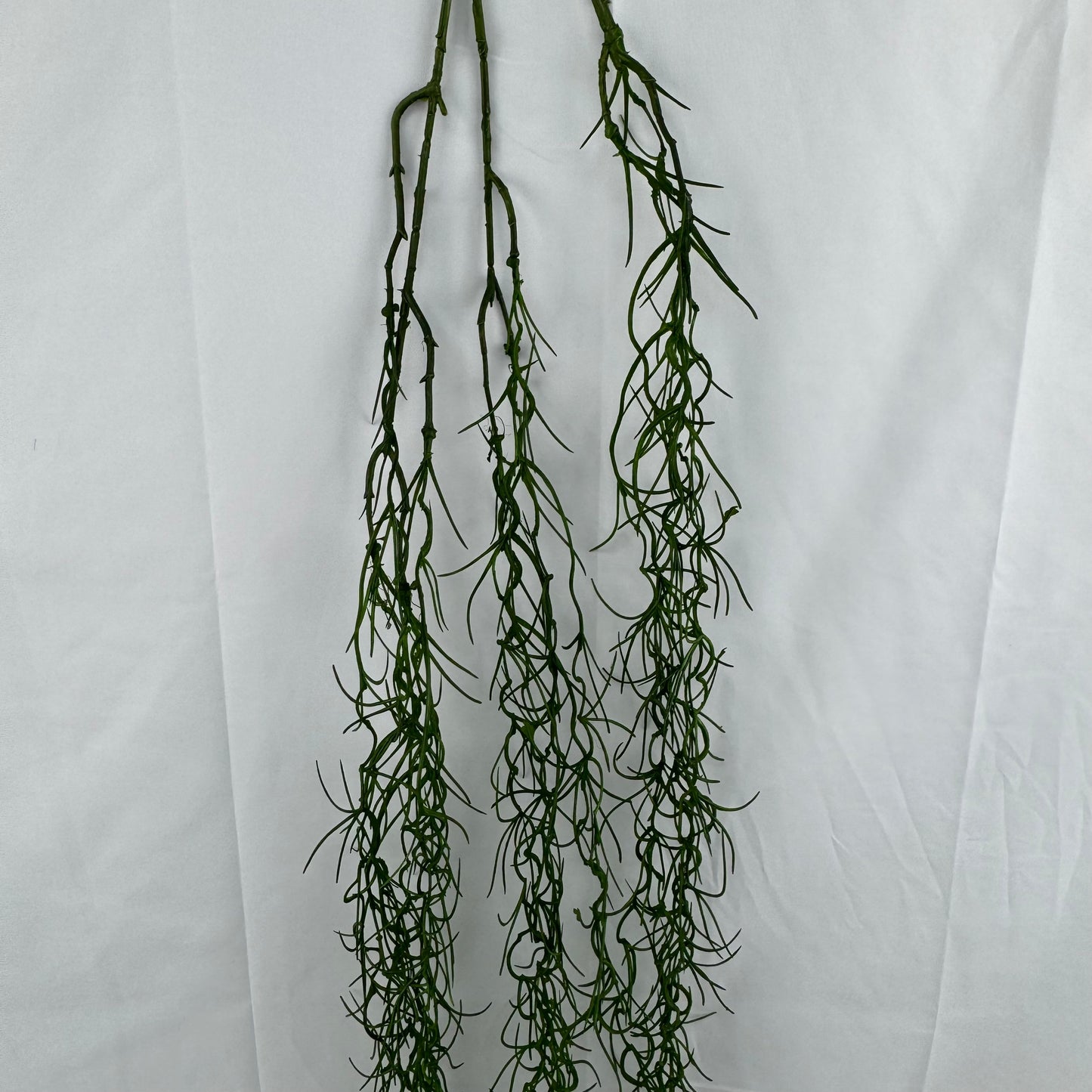 Green Hanging Seaweed Branch